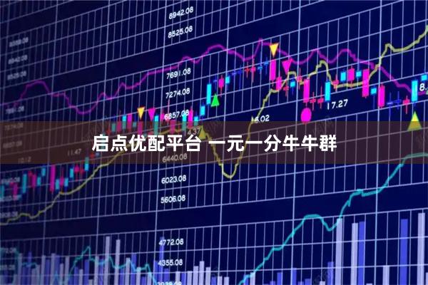 启点优配平台 一元一分牛牛群