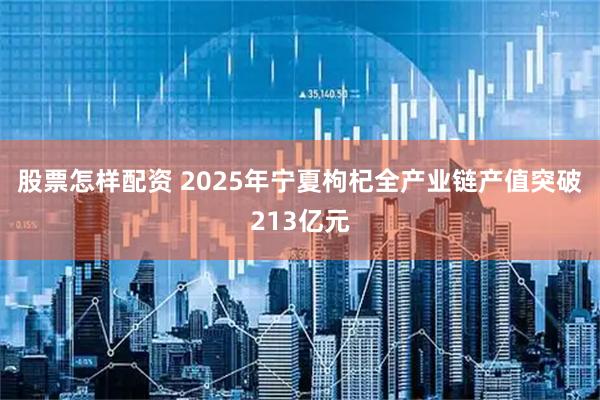 股票怎样配资 2025年宁夏枸杞全产业链产值突破213亿元