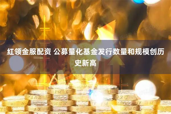 红领金服配资 公募量化基金发行数量和规模创历史新高