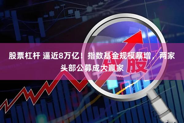 股票杠杆 逼近8万亿！指数基金规模暴增，两家头部公募成大赢家